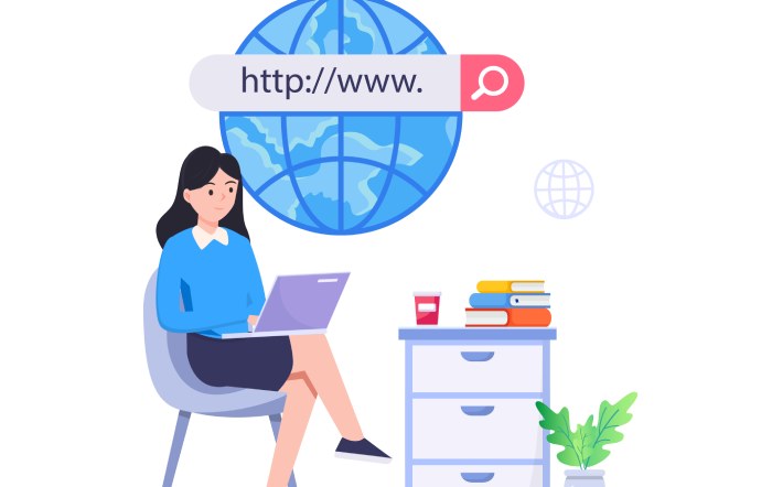 domain's DNS records