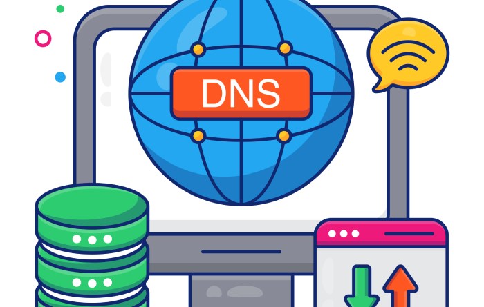 domain’s DNS setup