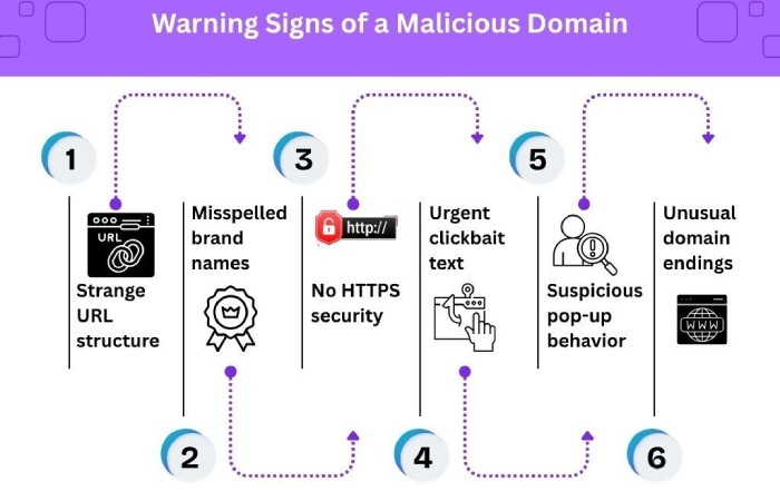 malicious domain