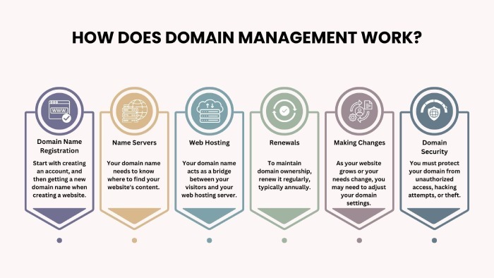 domain management