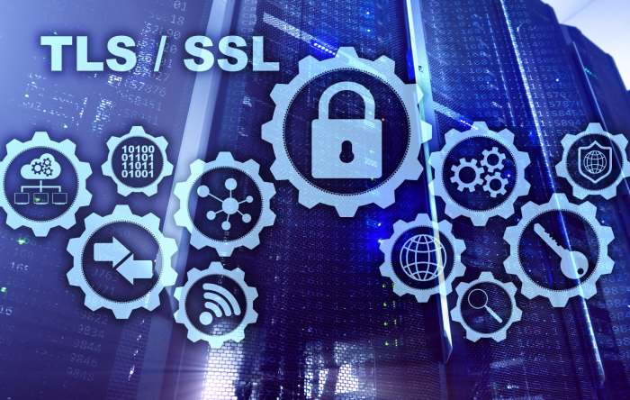  TLS (Transport Layer Security)
