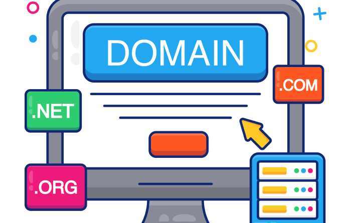 DNS management panel
