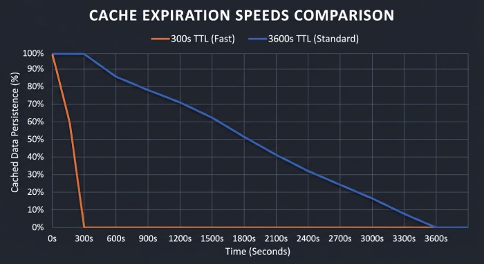TTL Cache Strategy