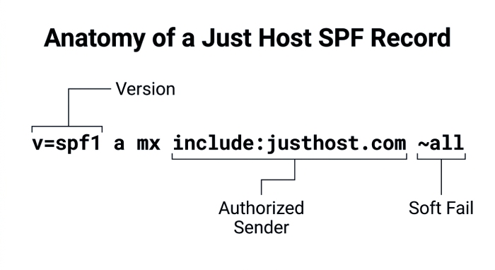 SPF Record Anatomy
