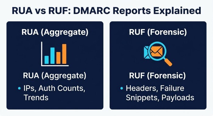 RUA vs RUF Comparison Infographic