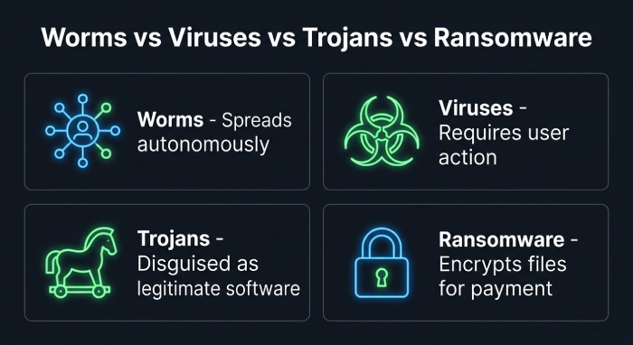 Worms vs. Viruses, Trojans, and Ransomware: Key Differences to Understand
