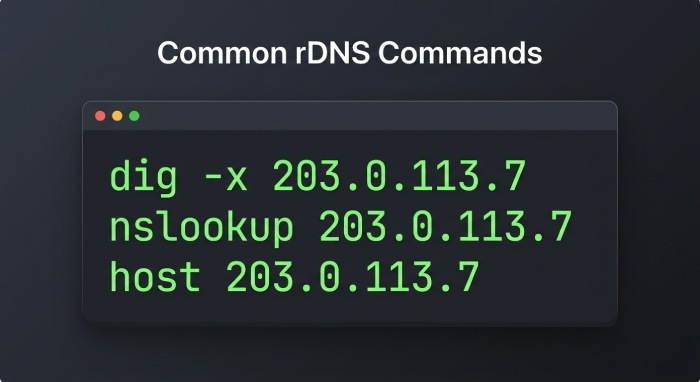 How to Set Up and Check Reverse DNS Records
