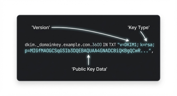 Dmarc analyzer