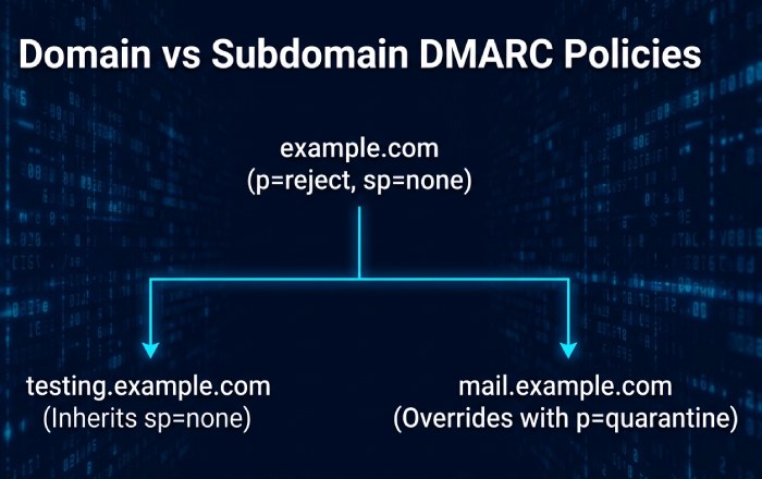 Domain Policy Hierarchy Infographic
