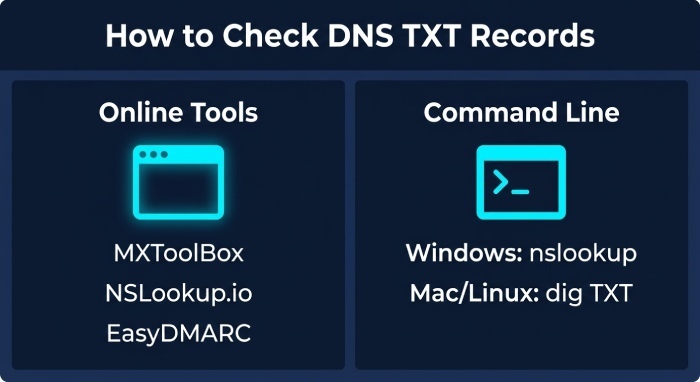 How to Check DNS TXT Records Step by Step