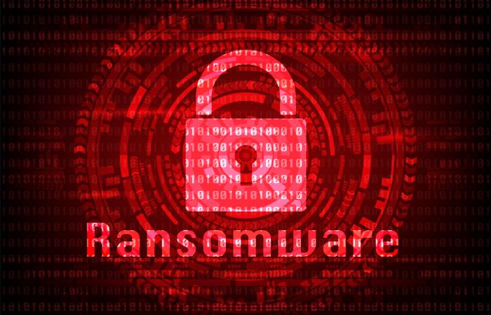 Phish Protection blog post image