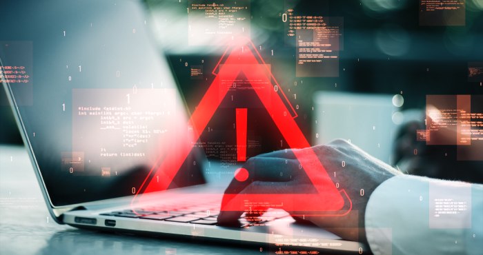 Cybercrime